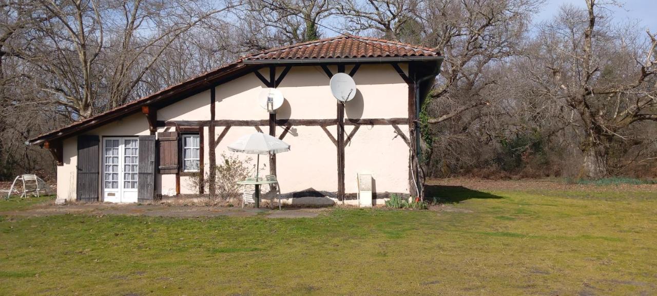 La Suite Du Bucheron Laharie エクステリア 写真